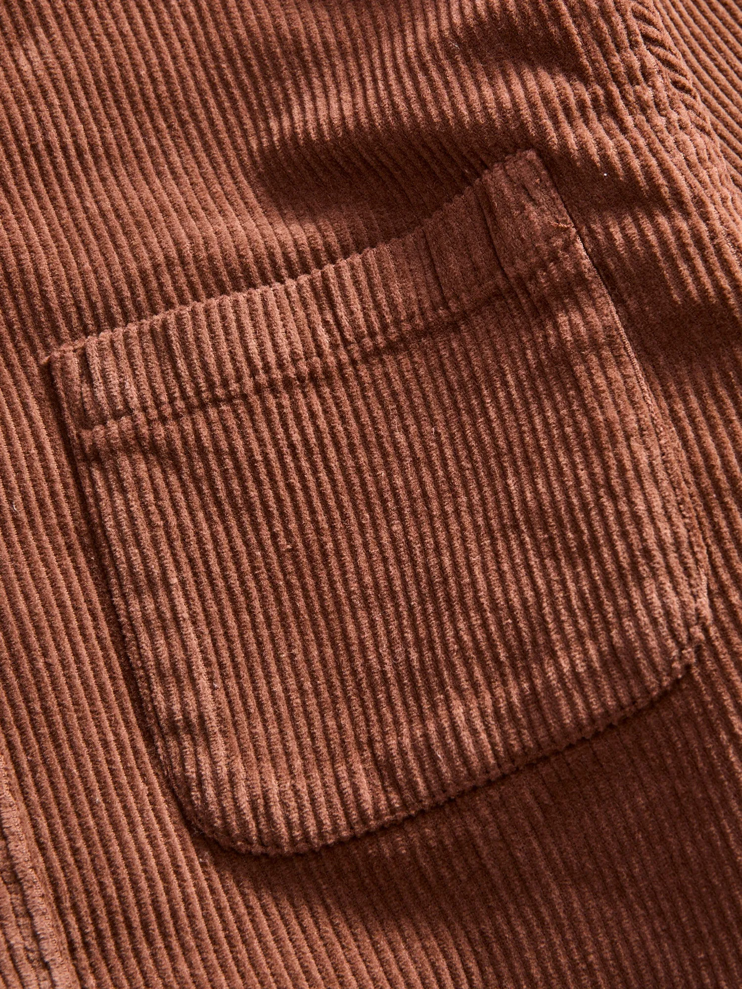 Lobo Button-Up Shirt in Brown