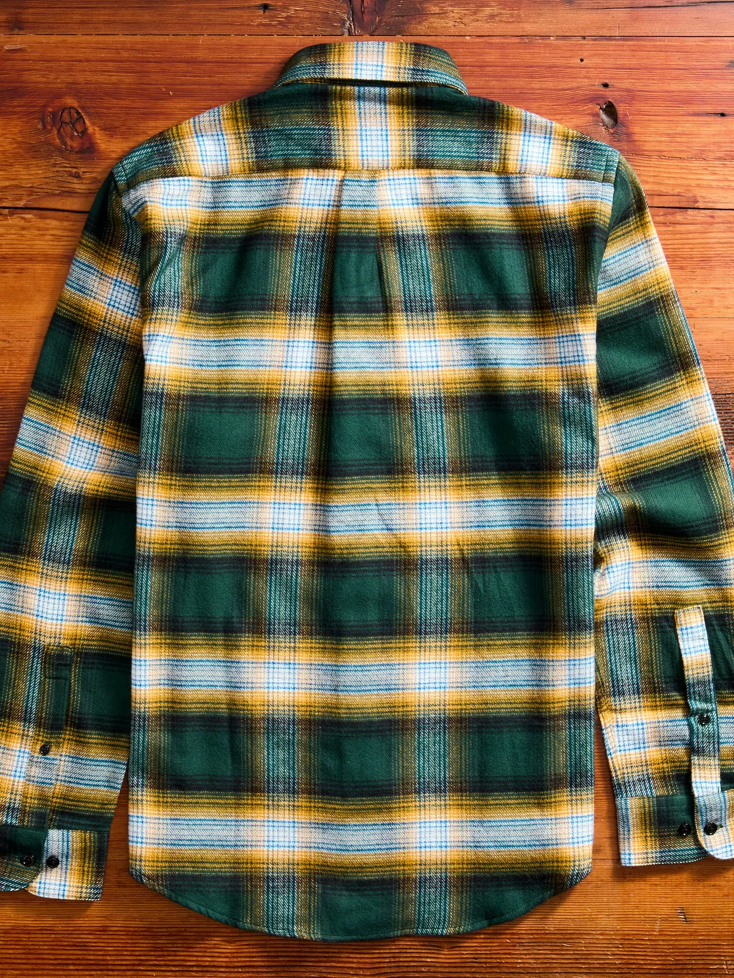 Lousa Button-Up Shirt in Green