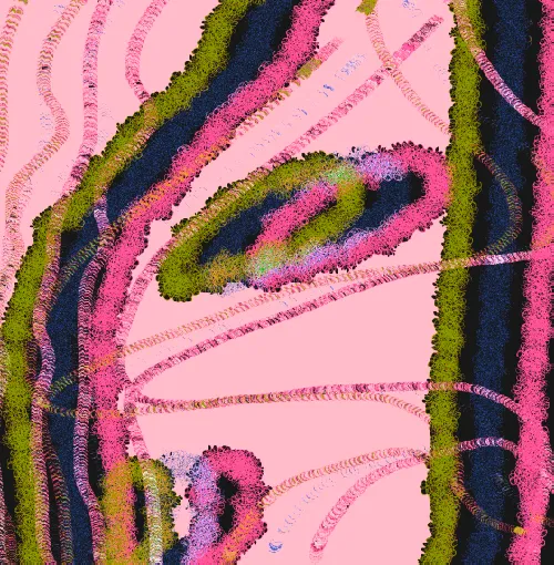 SALAR